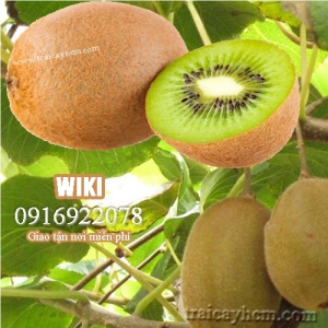 KIWI